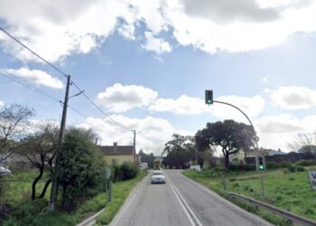 Obras no valor de 8,4 milhões de euros no IC2, entre Alcobaça e Rio Maior, começam sábado