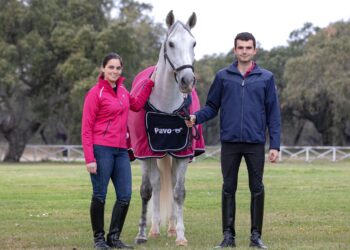 Irmãos são campeões nacionais em dressage com cavalos de Leiria