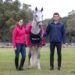 Irmãos são campeões nacionais em dressage com cavalos de Leiria