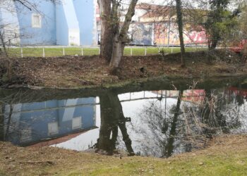 Câmara de Leiria garante que intervenção no Rio Lis respeita princípios da engenharia natural
