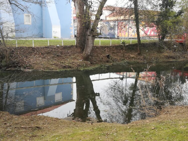 Câmara de Leiria garante que intervenção no Rio Lis respeita princípios da engenharia natural