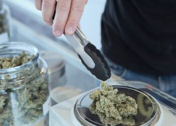 Detido por tráfico com 7 400 doses de canábis