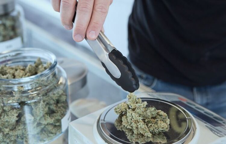 Detido por tráfico com 7 400 doses de canábis