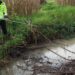 Serviço de Vigilância Ambiental de Leiria regista 254 ocorrências num ano