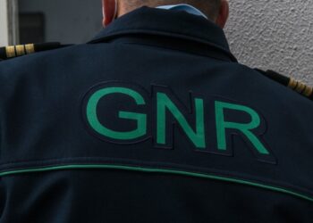 Nazaré: GNR apreende 770 quilos de pescada sem as medidas legais