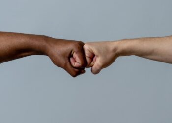 Comunidade Intermunicipal promove webinares para discutir inclusão