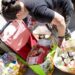 Instituições de Leiria recebem mais de 650 mil euros em alimentos da Missão Continente