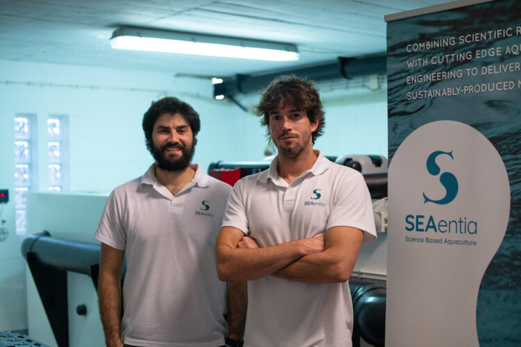 Startup de Peniche com projecto pioneiro de produção de corvina recebe visita do ministro do mar