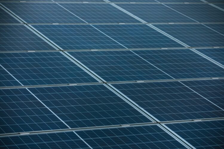 Grupo de Protecção Sicó alerta para parque solar construído sobre linha de água