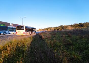 Mais de 600 lugares de estacionamento vão ser criados nas Olhalvas, em Leiria