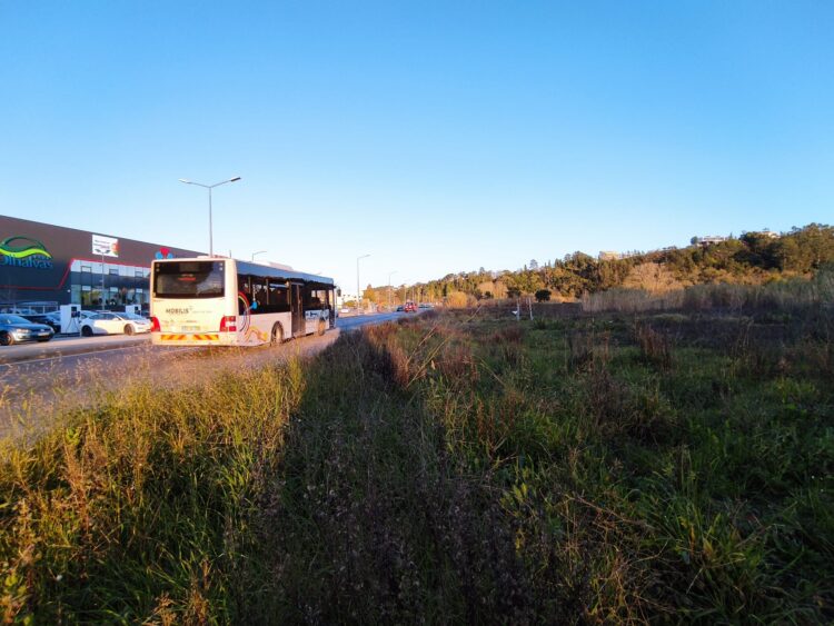 Mais de 600 lugares de estacionamento vão ser criados nas Olhalvas, em Leiria
