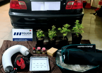 Jovem detido por tráfico de droga em Caldas da Rainha