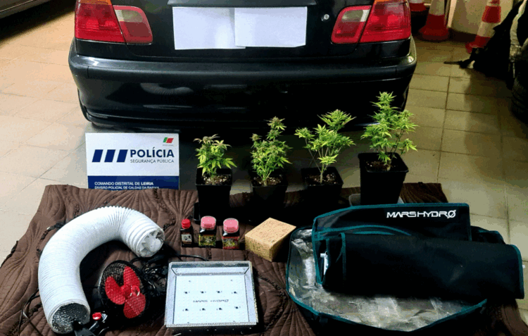 Jovem detido por tráfico de droga em Caldas da Rainha