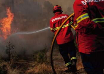 Internamento até 12 anos para autor de incêndio florestal em Figueiró dos Vinhos