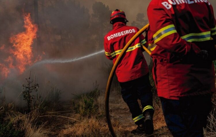 Internamento até 12 anos para autor de incêndio florestal em Figueiró dos Vinhos