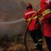 Internamento até 12 anos para autor de incêndio florestal em Figueiró dos Vinhos