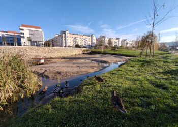 Limpeza no largo do Jardim da Almuinha, em Leiria, para “evitar cheias”