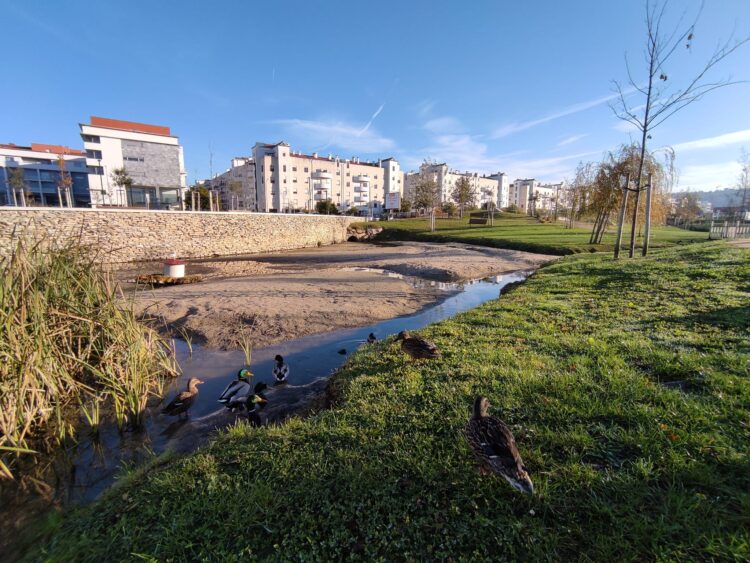Limpeza no largo do Jardim da Almuinha, em Leiria, para “evitar cheias”