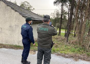 Queimas são uma das principais causas de incêndios