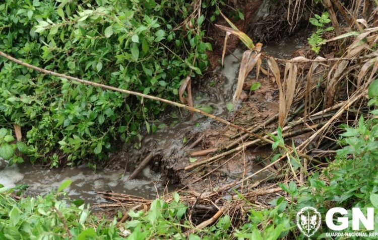 Efluentes pecuários escorrem para ribeira em Caldas da Rainha