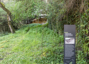 Câmara de Leiria quer comprar terrenos onde foi descoberto “Menino do Lapedo”