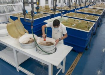 Embarcação de apoio à aquicultura reforça capacidade operacional da Oceano Fresco