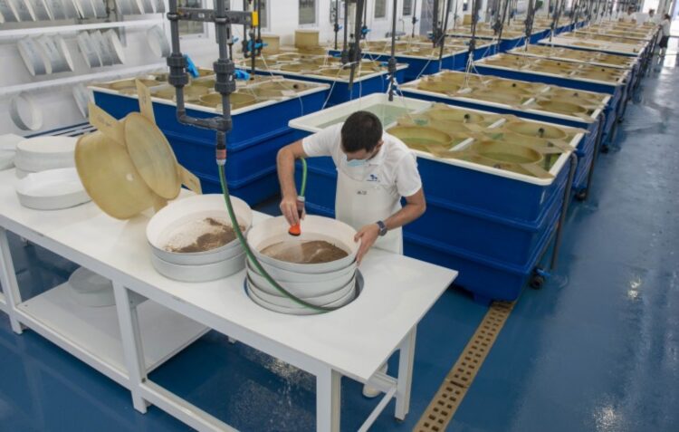 Embarcação de apoio à aquicultura reforça capacidade operacional da Oceano Fresco