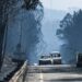 Artigo científico afirma que sistema meteorológico “gerou episódios de vento forte” durante incêndios de Pedrogão Grande