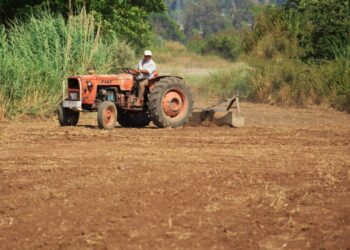 Agricultores apelam a “escoamento” da produção agrícola e florestal do distrito, com manifestação em Porto de Mós
