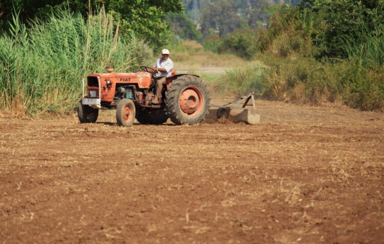 Agricultores apelam a “escoamento” da produção agrícola e florestal do distrito, com manifestação em Porto de Mós