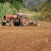 Agricultores apelam a “escoamento” da produção agrícola e florestal do distrito, com manifestação em Porto de Mós