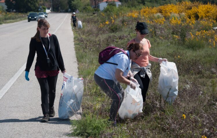 Voluntários recolhem mais de 150 quilos de lixo das bermas da estrada