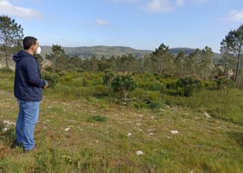 Alqueidão da Serra quer dar exemplo na gestão da floresta