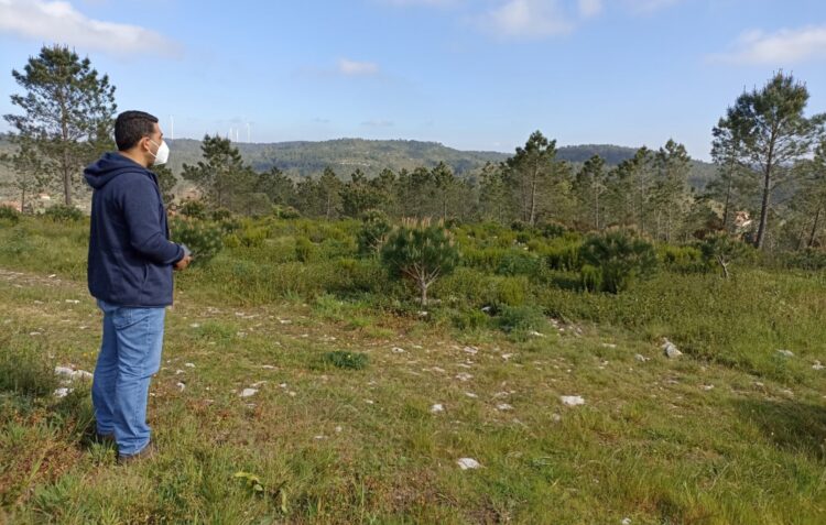 Alqueidão da Serra quer dar exemplo na gestão da floresta
