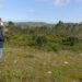 Alqueidão da Serra quer dar exemplo na gestão da floresta