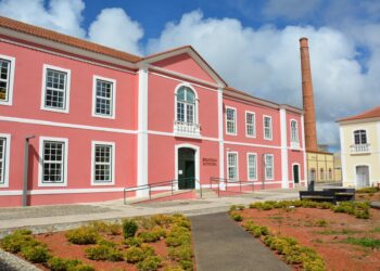 Marinha Grande reabre biblioteca municipal com música e prémios
