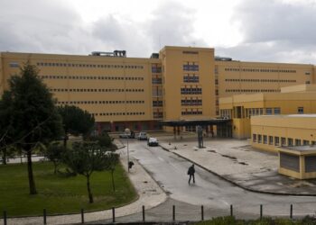 Défice de proteína tem mutações com nome de Ourém e Leiria