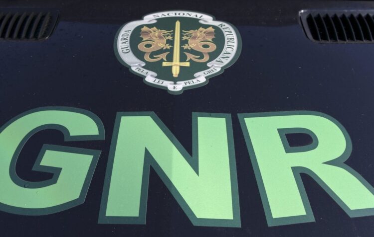Furtava torneiras em Leiria, quando foi detido pela GNR