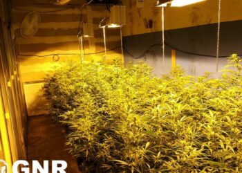 Detidos pela GNR com 48 quilos de droga ficam em prisão preventiva
