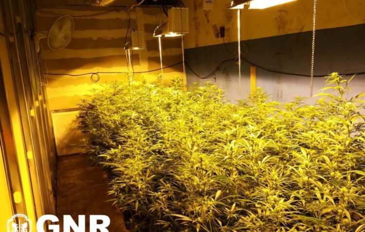 Detidos pela GNR com 48 quilos de droga ficam em prisão preventiva