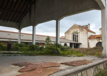 Antigo Instituto da Vinha e do Vinho de Leiria vai dar lugar a espaço criativo