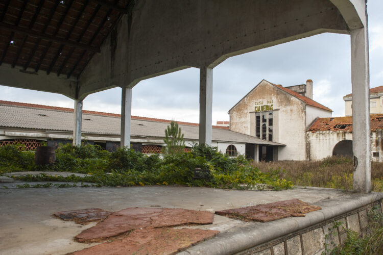 Antigo Instituto da Vinha e do Vinho de Leiria vai dar lugar a espaço criativo