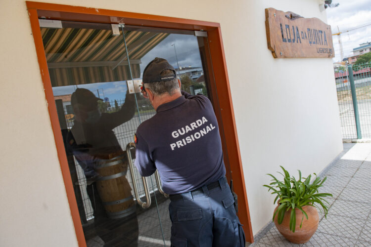 Prisão de Leiria abre nova loja para vender legumes cultivados pelos reclusos