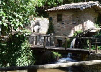 Associação Bajouquese festeja 30 anos com limpeza do Parque do Pisão
