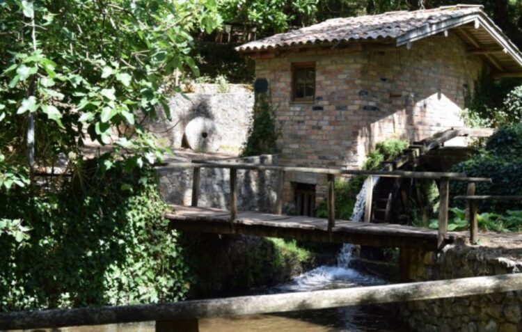 Associação Bajouquese festeja 30 anos com limpeza do Parque do Pisão