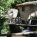 Associação Bajouquese festeja 30 anos com limpeza do Parque do Pisão
