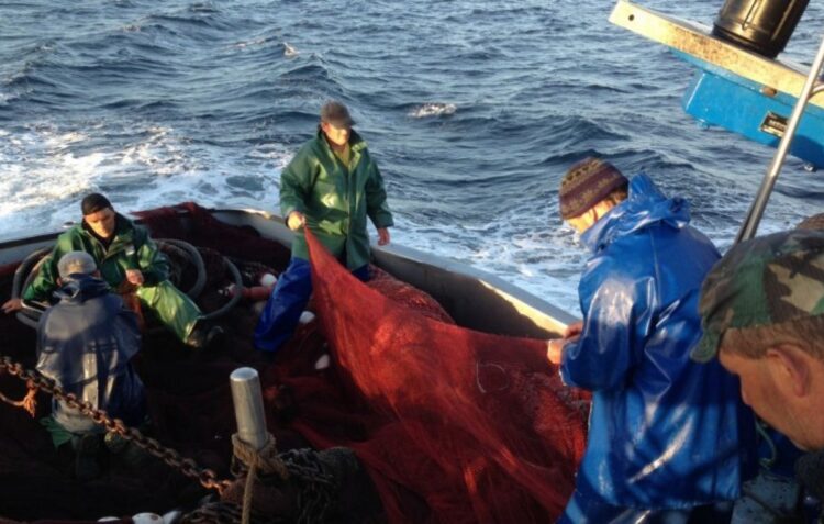Pescadores da sardinha satisfeitos com limite anual de capturas