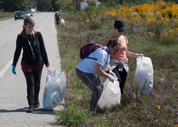 No próximo sábado, há plogging no Pinhal do Rei. Ponto de encontro na Marinha Grande