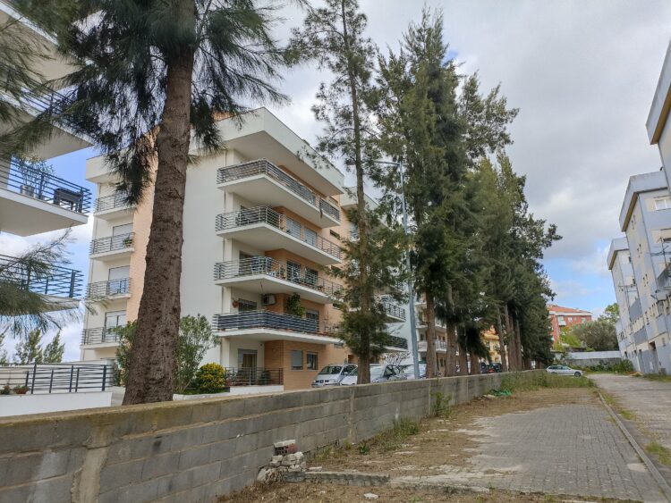 Câmara de Leiria tenta salvar 25 árvores que moradores querem cortadas