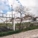 Moradores do bairro da prisão com ordem para devolver casas de função